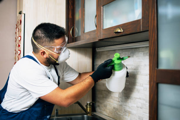 Best Pest Removal Services  in Cape May, NJ
