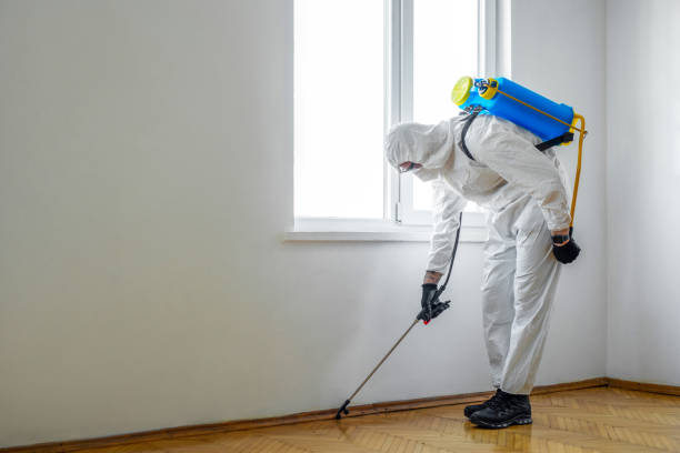 Best Best Pest Control Companies  in Cape May, NJ
