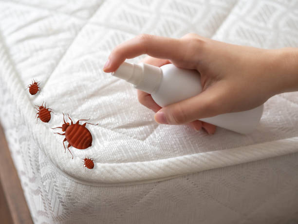 Best Affordable Pest Control Services  in Cape May, NJ