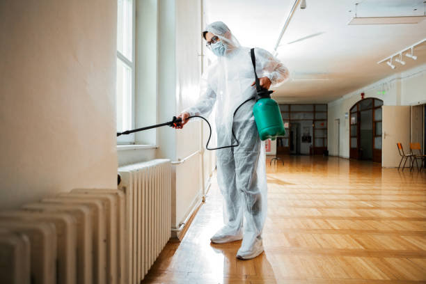 Best Pest Inspection Near Me  in Cape May, NJ