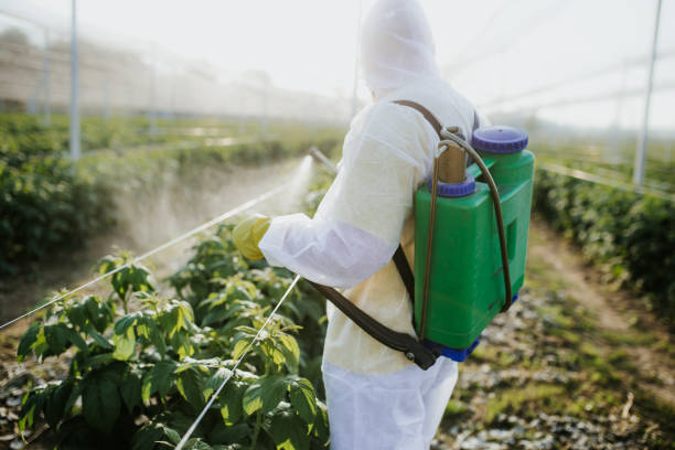 Pest Control Cost in Cape May, NJ